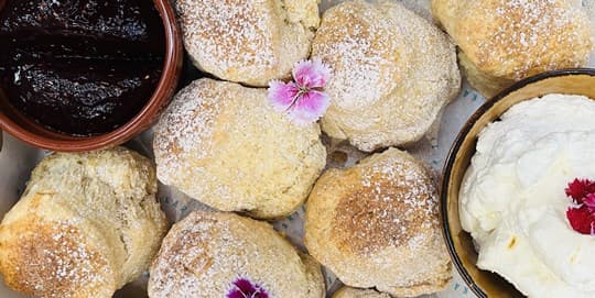Buttermilk Scone with Plum Jam & Vanilla Cream