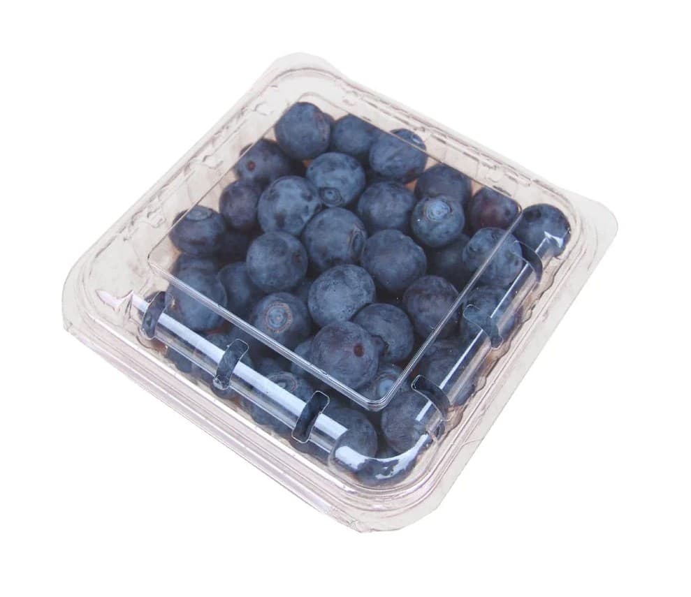 S2174Blueberry Punnet, 125g
