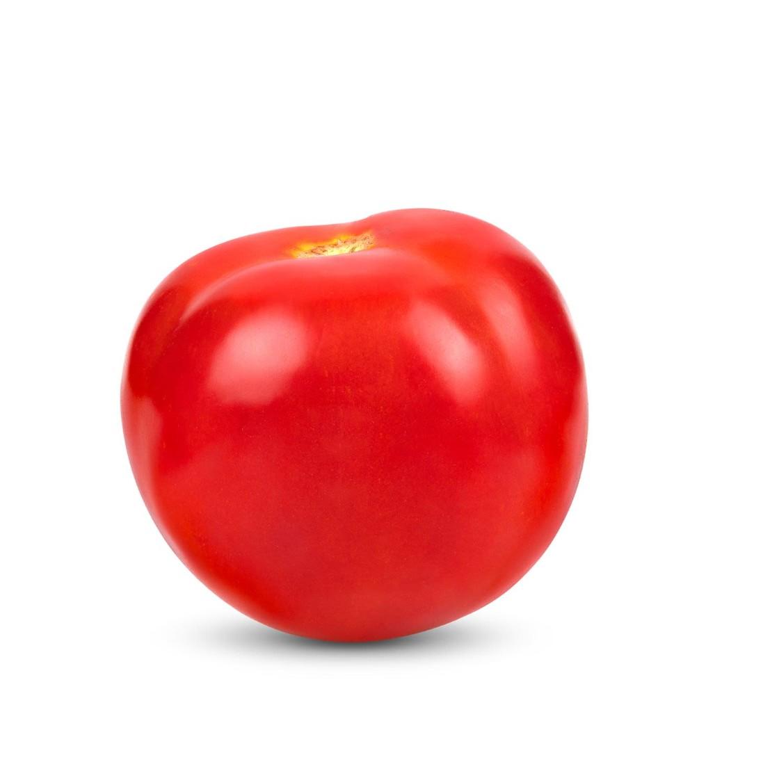 S2181Tomato Gourmet