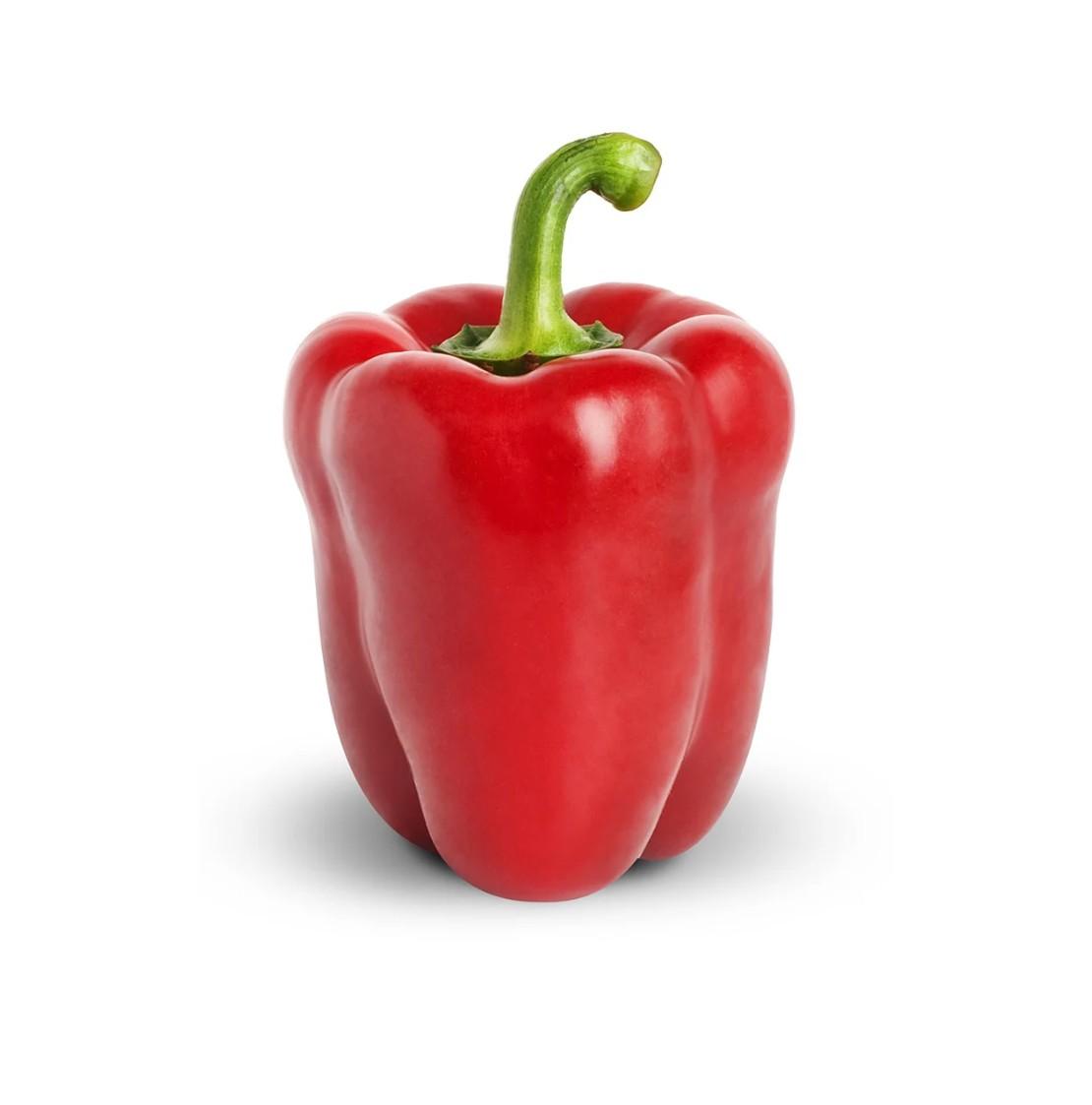 S2182Capsicum - Red