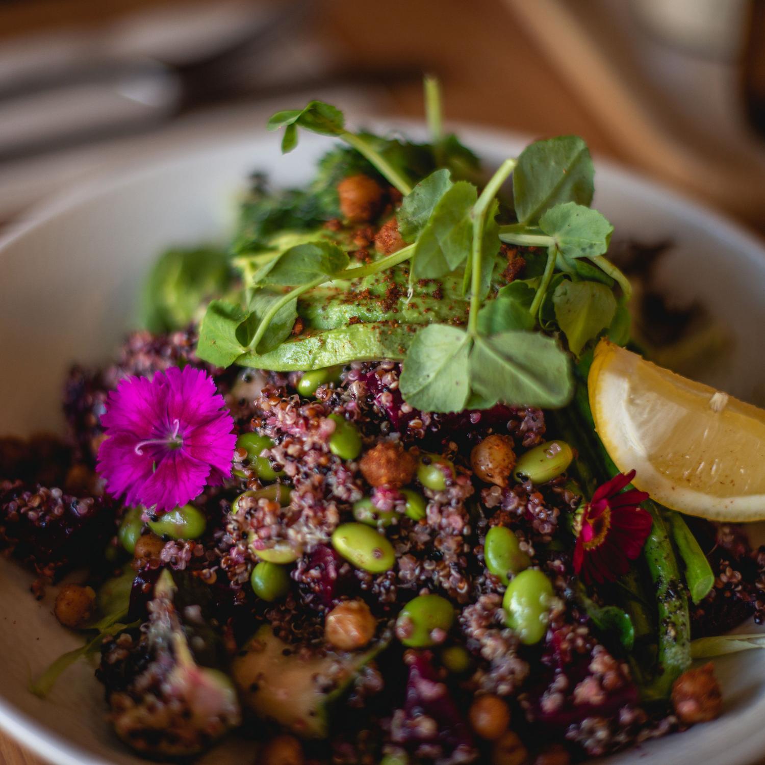 Mixed Leaf with Nuts & Muntries Salad (Individual)