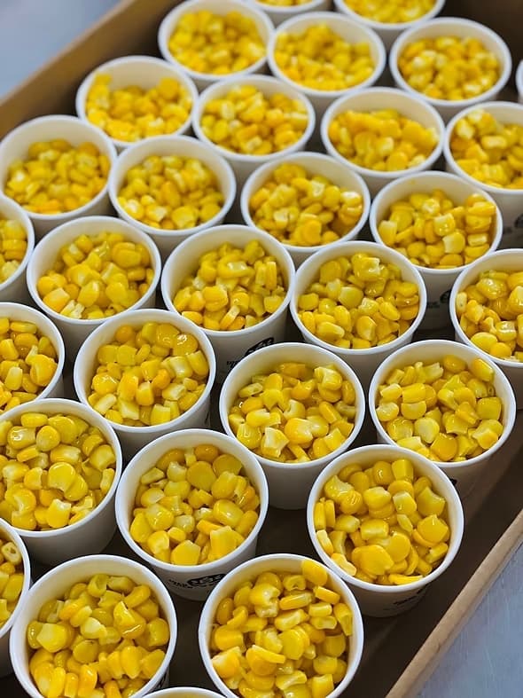 Sweet Corn (Box of 35)