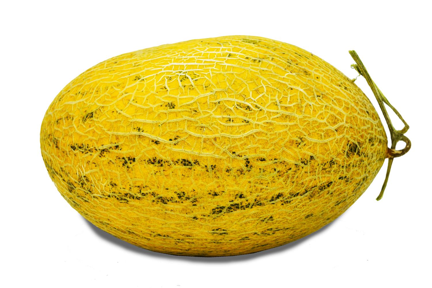 Hami Melon