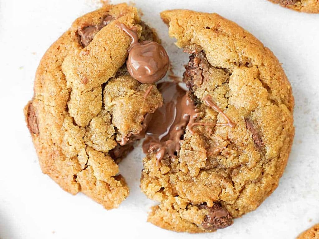 Milk Chocolate Cookie