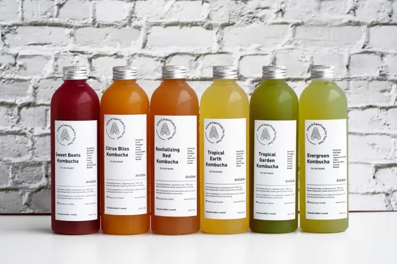 Kombucha 250ml (Assorted Flavors)