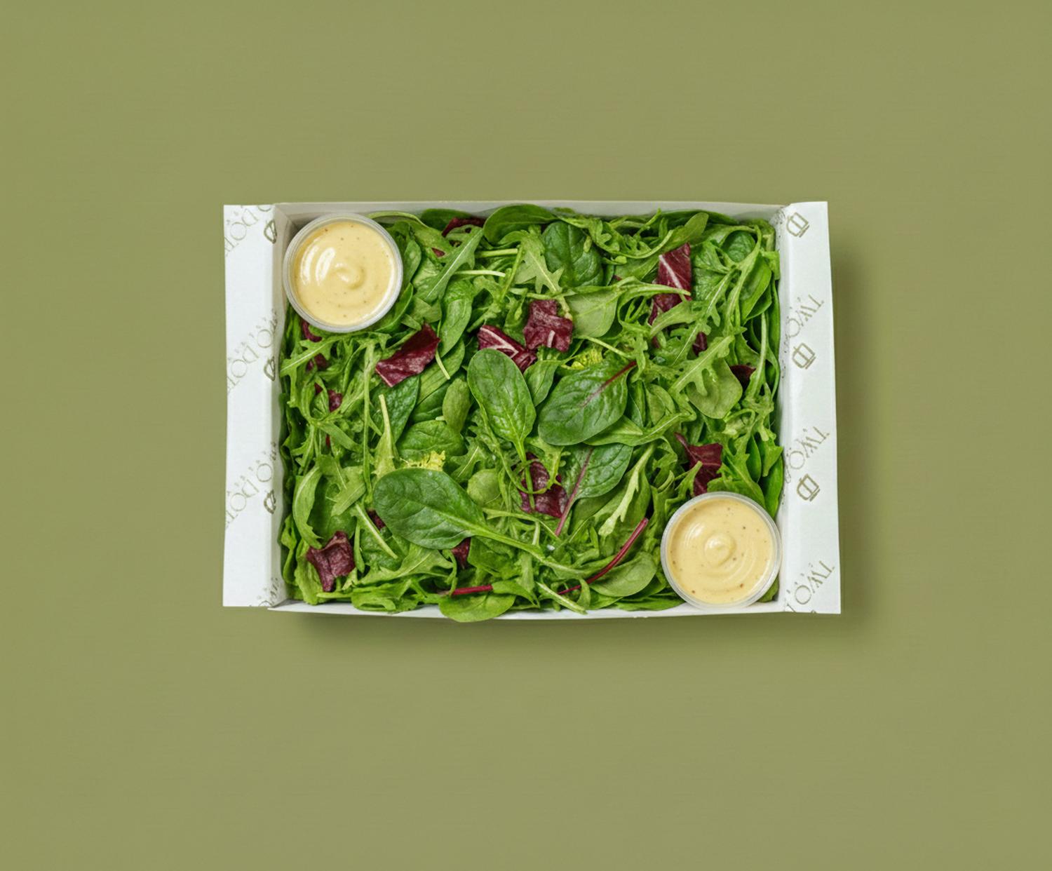 Mixed leaf salad & vinaigrette dressing