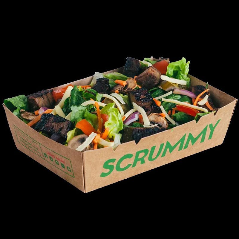 Grilled Steak Salad (Regular)