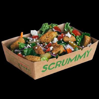 Falafel Salad (Regular)