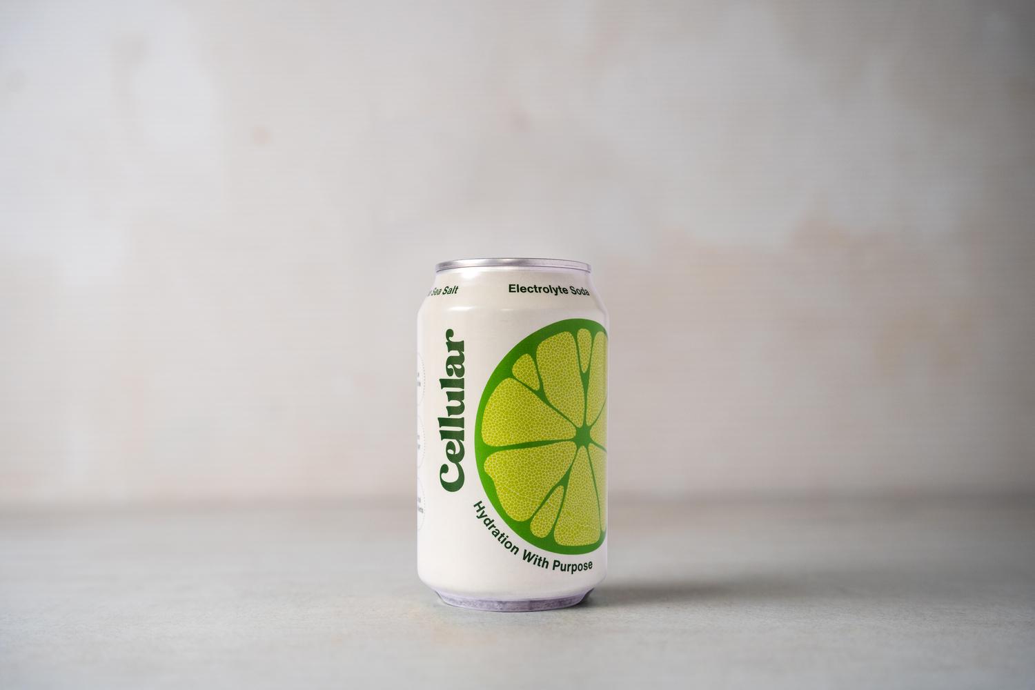 Cellular Soda Lime Sea Salt
