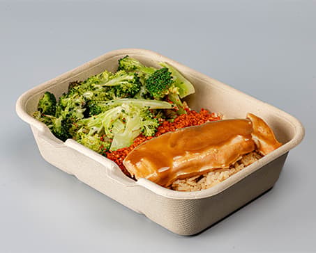 Tahini Salmon Plate (Single Protein)
