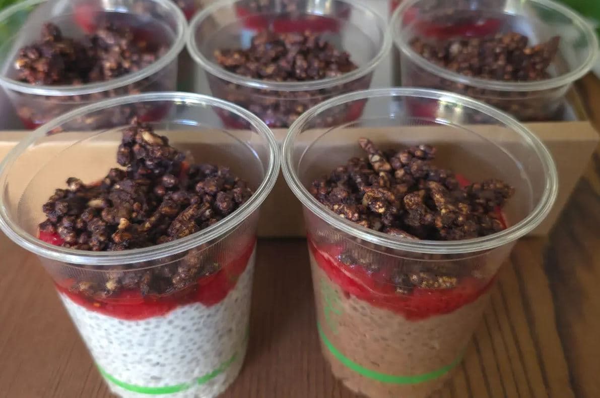 Chia Pots - 8 Pots Box