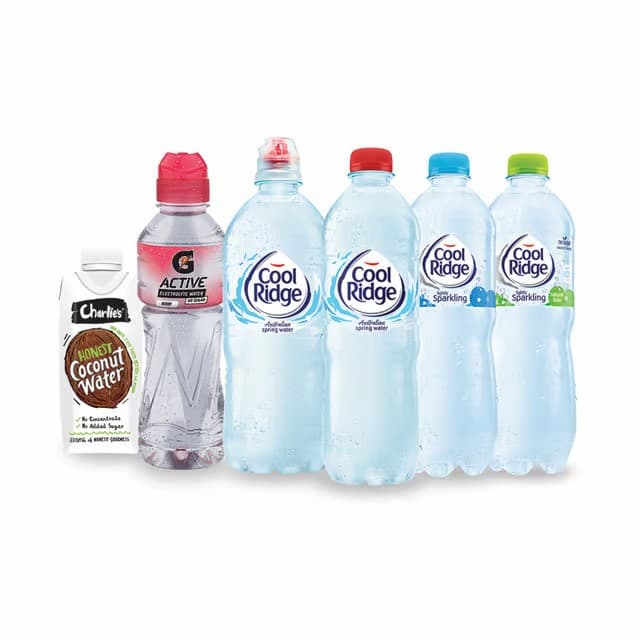 Cool Ridge Spring Water (600ml)
