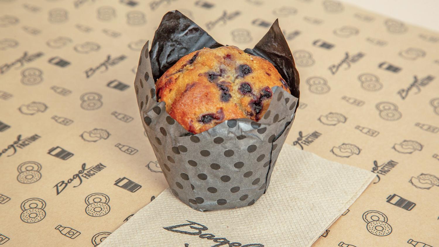 Blueberry Muffin