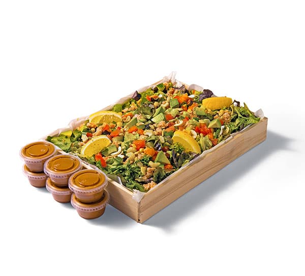 Salad Box - Celebrity Skin