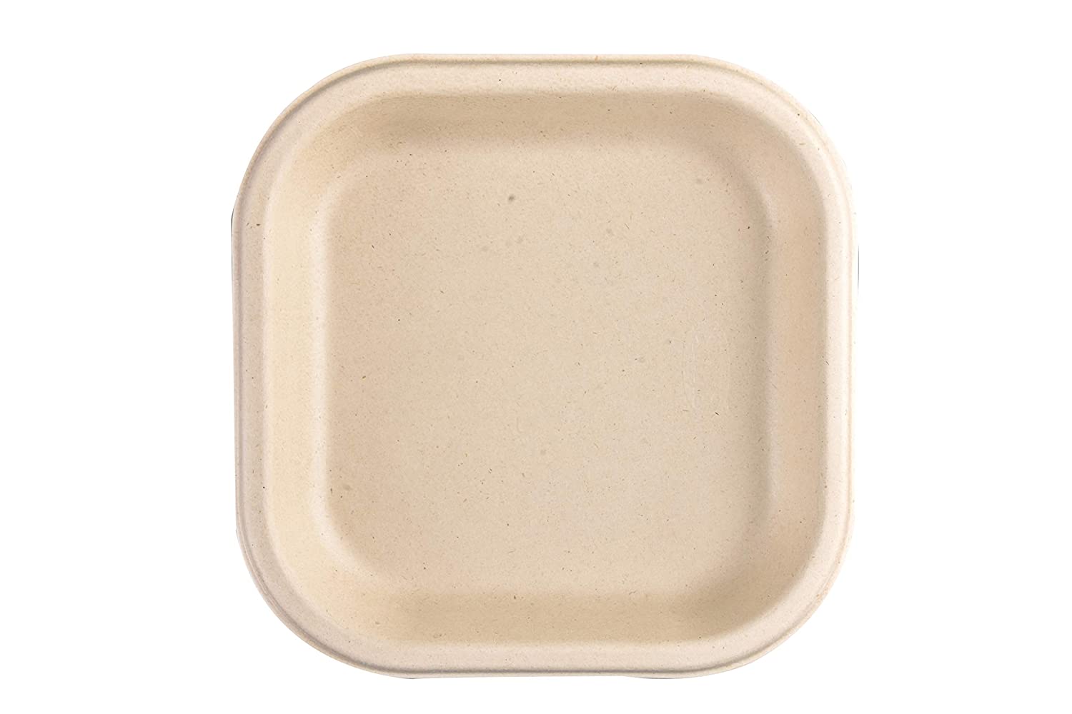 Eco Snack Plates (50 Pieces)