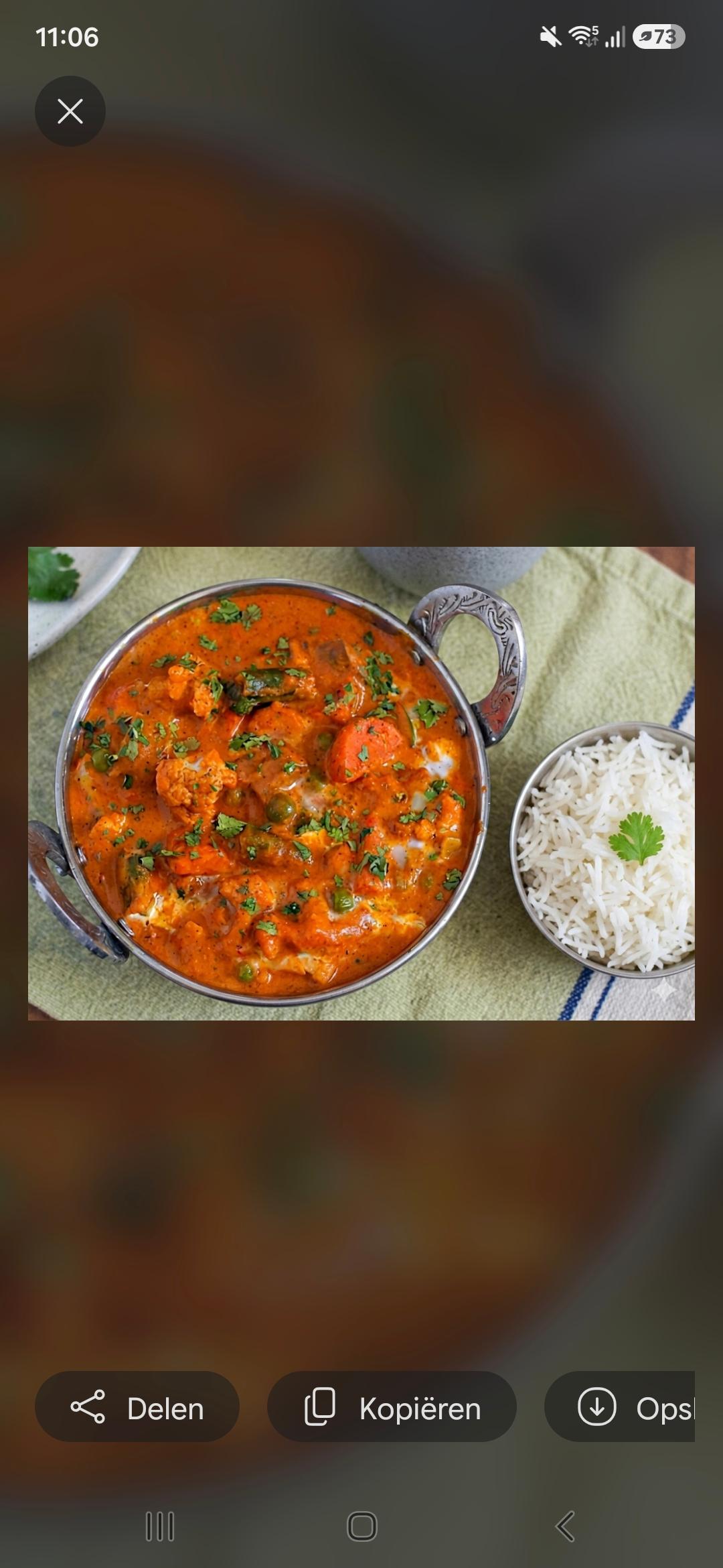 Mix Vegetable Makhani with Basmati Rice 