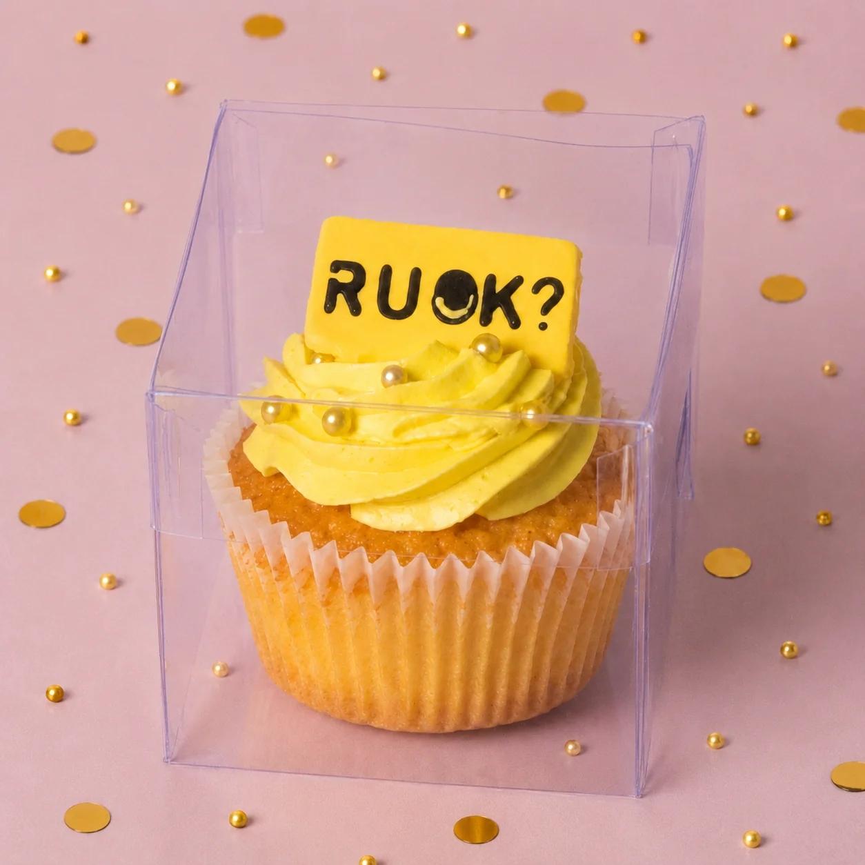 Individual Boxed R U OK? Cupcake