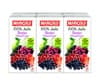 MARIGOLD 100% FRUIT JUICE - BERRIES MI (4X6X200ML)