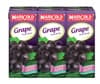 MARIGOLD FRUIT DRINK - GRAPE (PKT) (4X6X250ML)