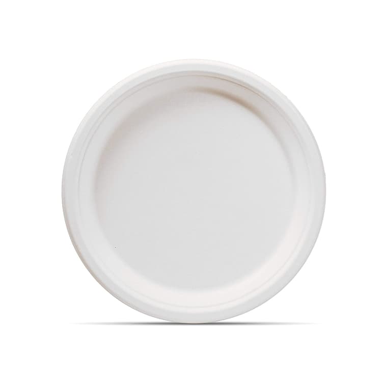 Disposable Plates