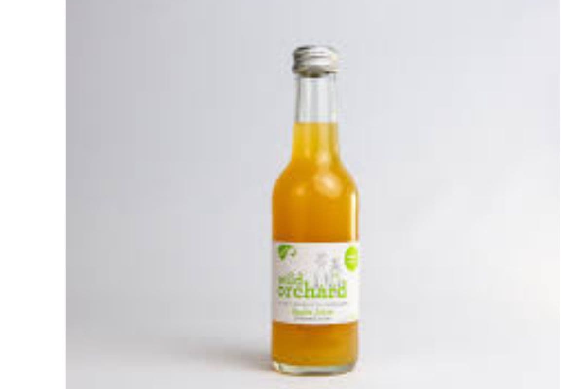 Wild Orchard Apple Juice (250ml)