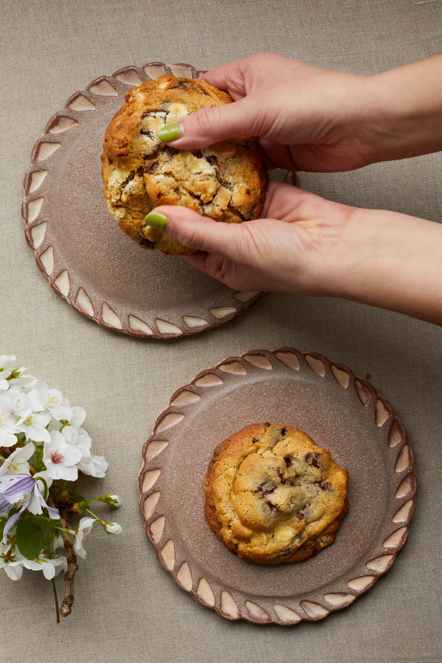 Chocolate and walnut cookies