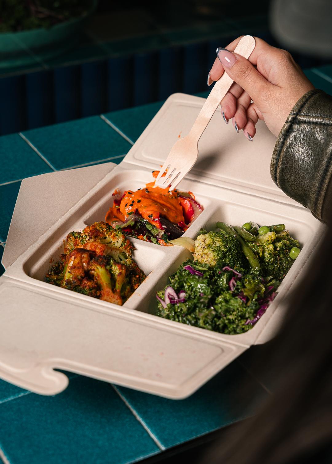 Ponzu Salmon & Salads