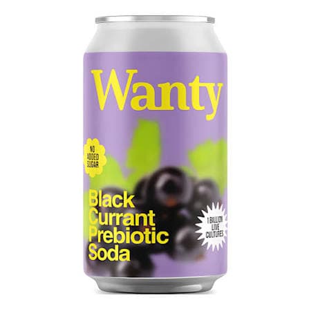 Wanty Blackcurrant Ginger - 330ml