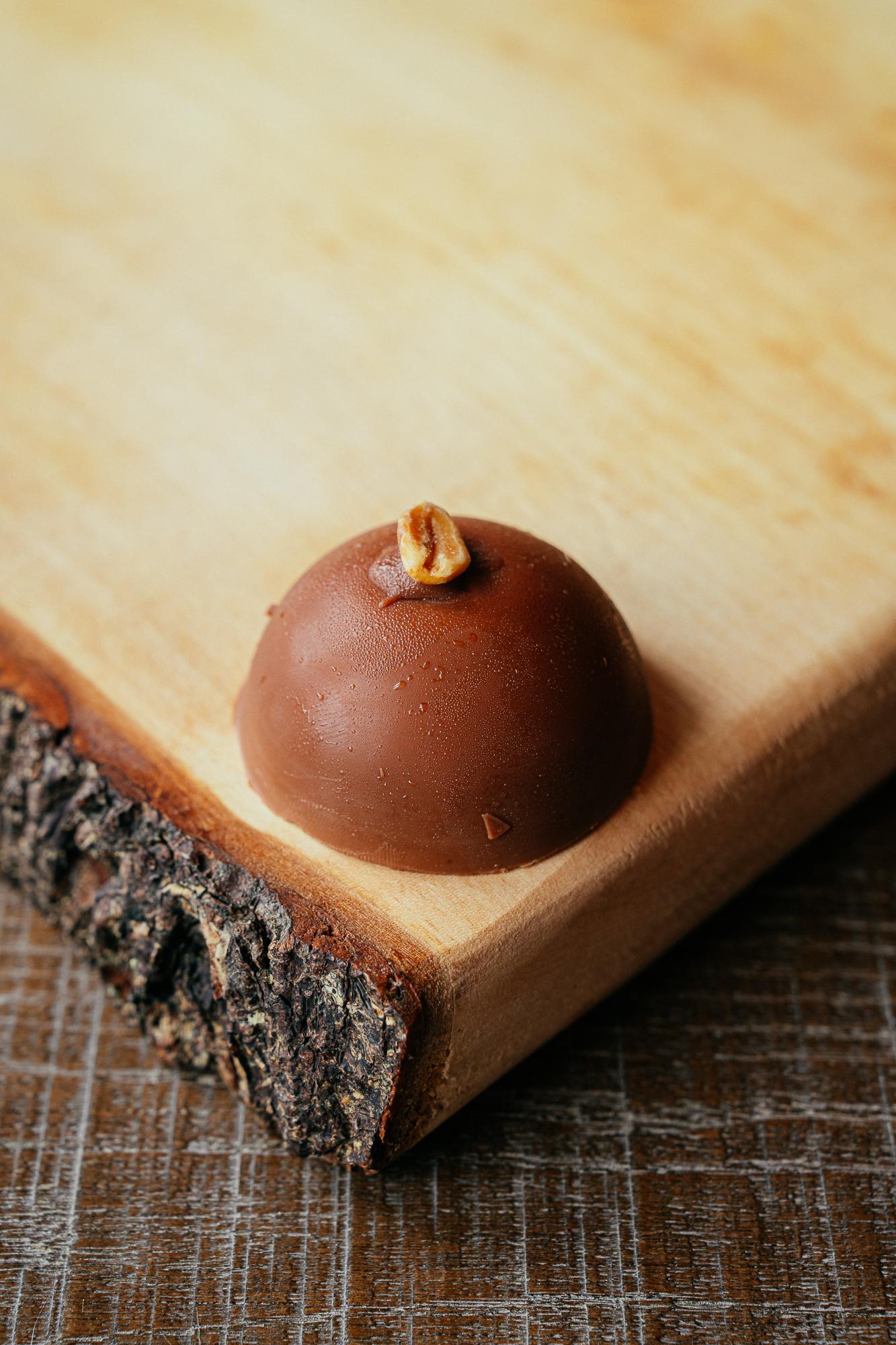 Milk Chocolate Peanut Bite