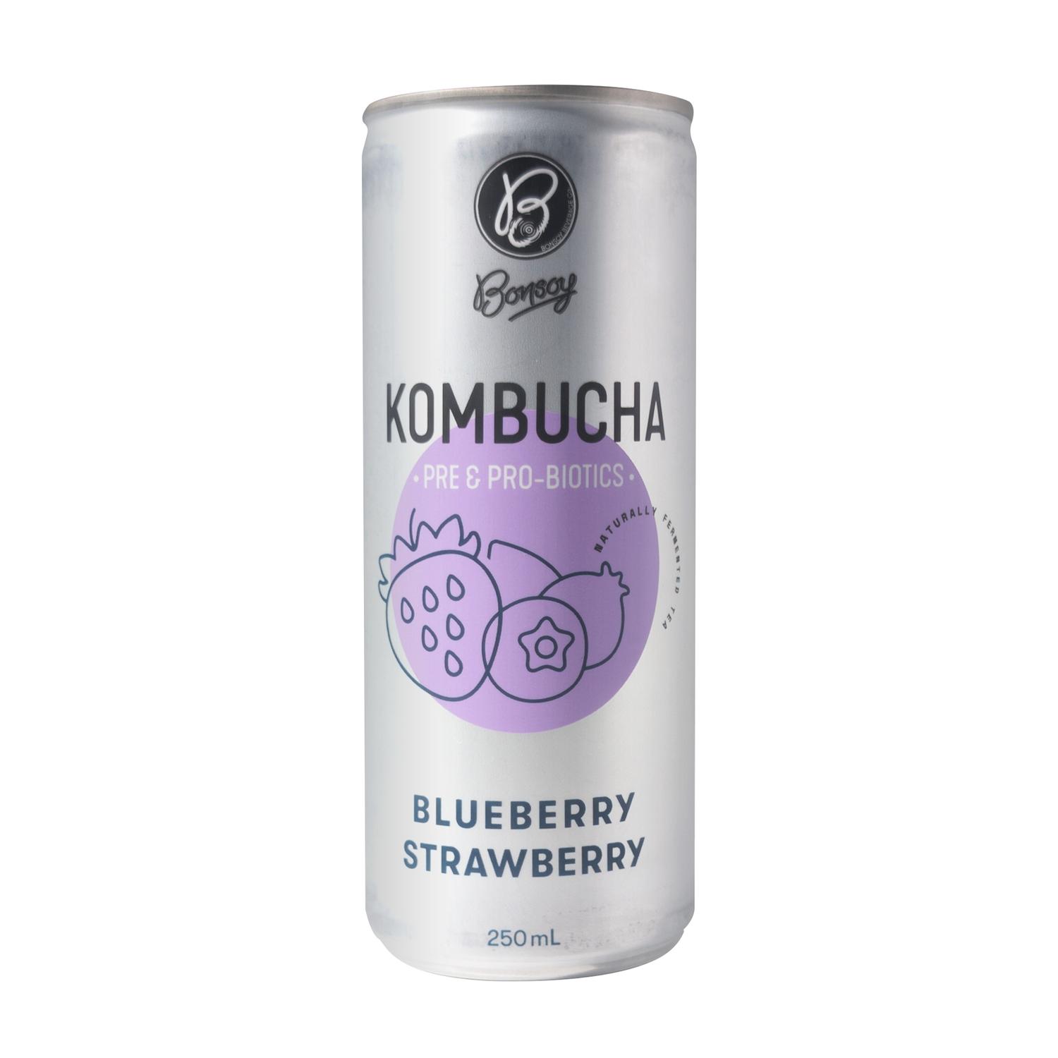 Bonsoy Kombucha Cans Pack (20pcs)