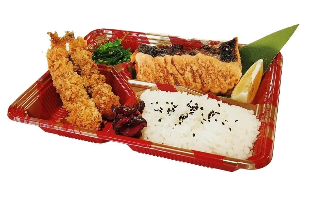 Salmon Gyoza Bento