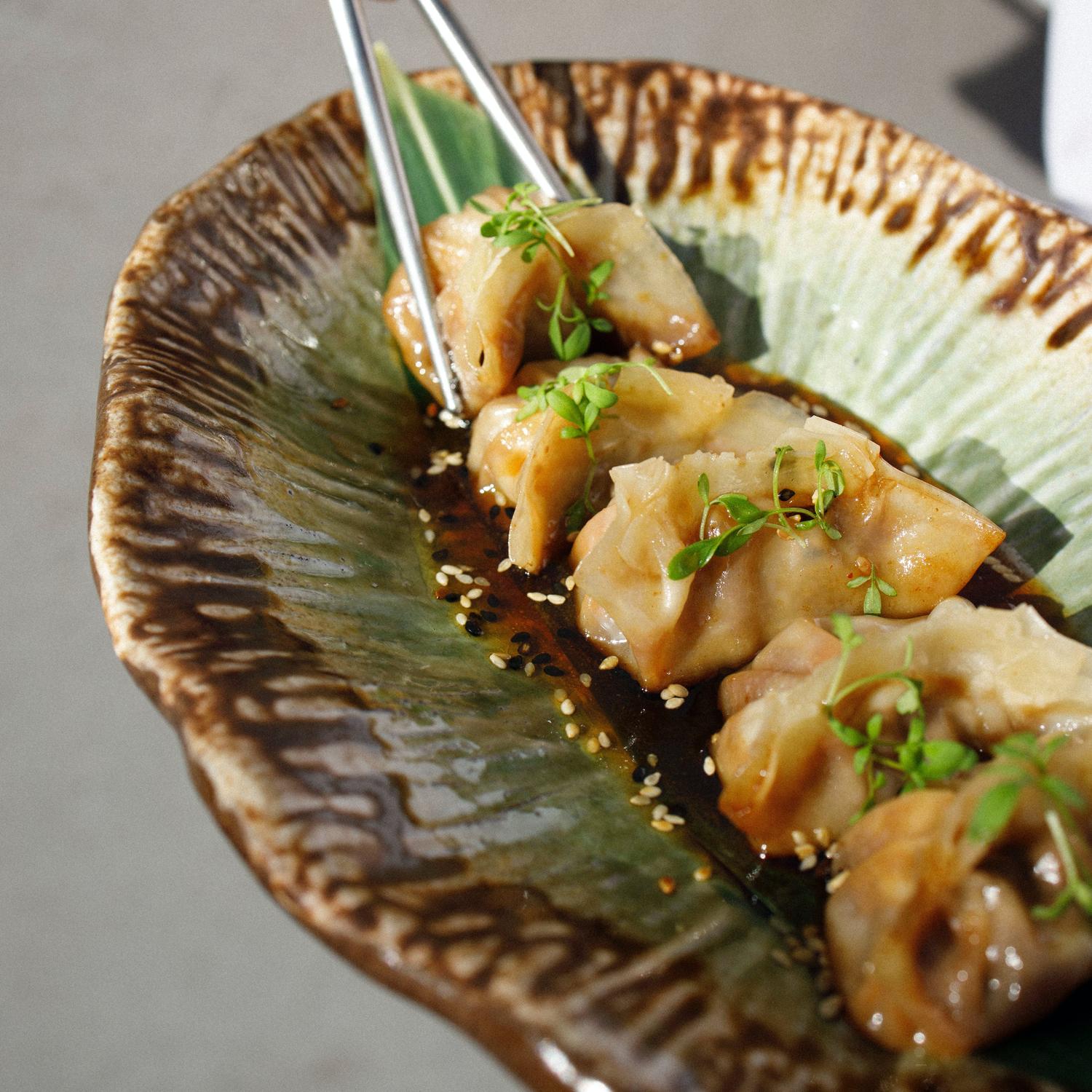 Chinese New Year Dumplings - Vegan