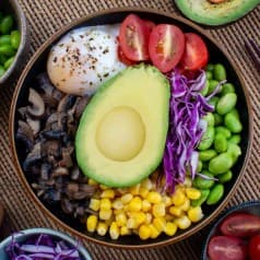 Avocado Vegetarian Bowl