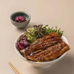 Unagi Kabayaki Don