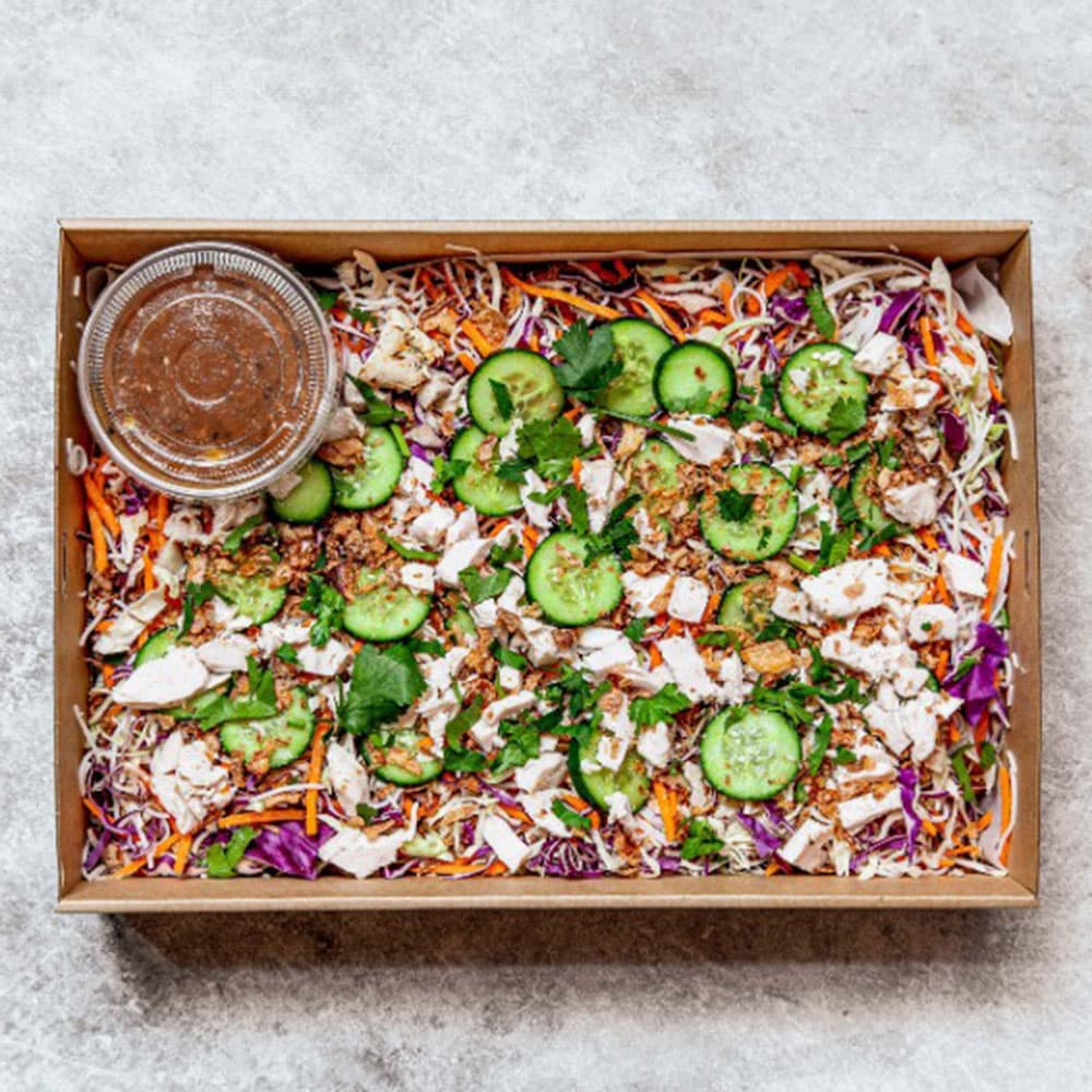 Chicken Vietnamese Platter (Regular)