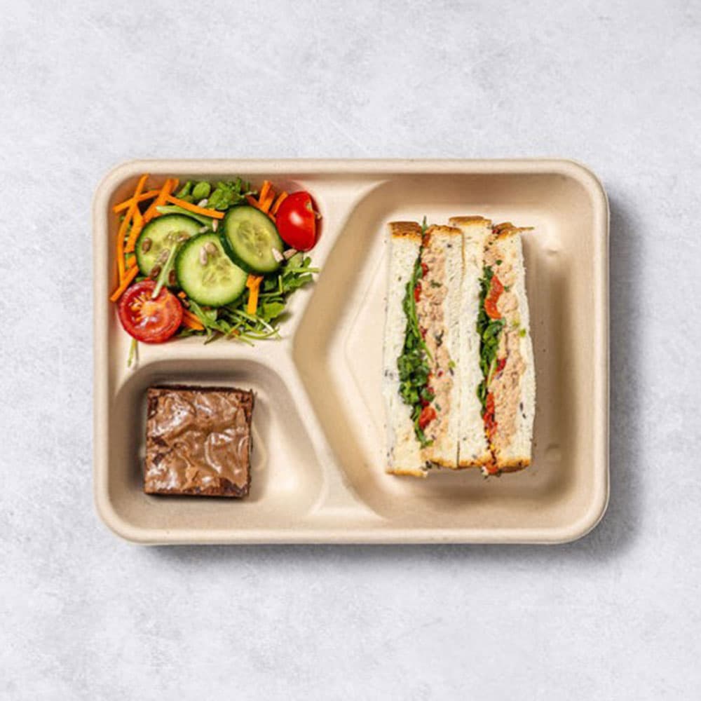 Sandwich, Salad & Sweet Pack (with Fish)