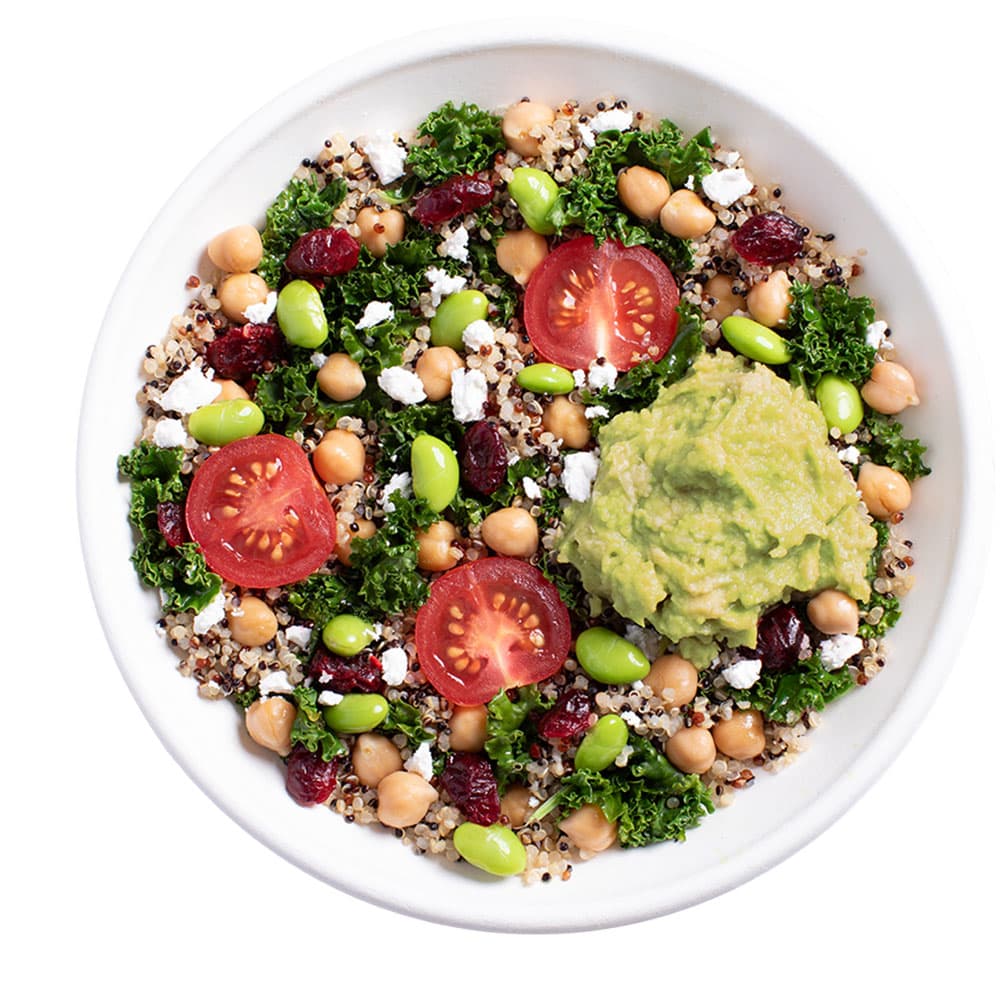 Babylon Signature Bowl 