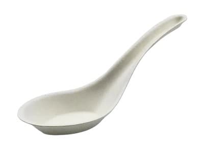 Disposable Soup Spoon (10pc)