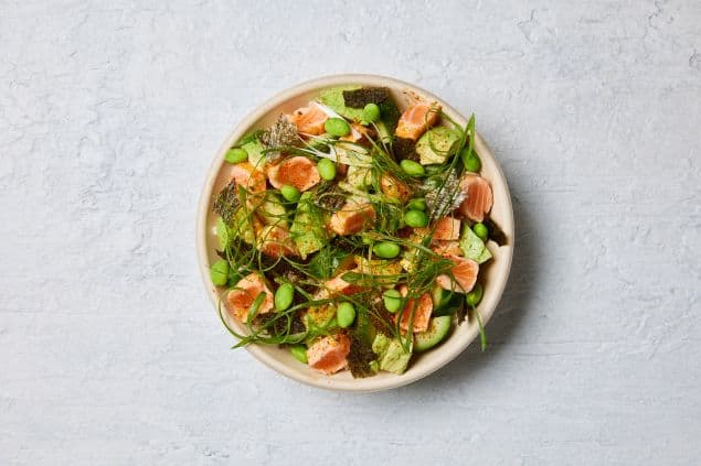 Salmon Tataki Lunch Bowl (940ml)