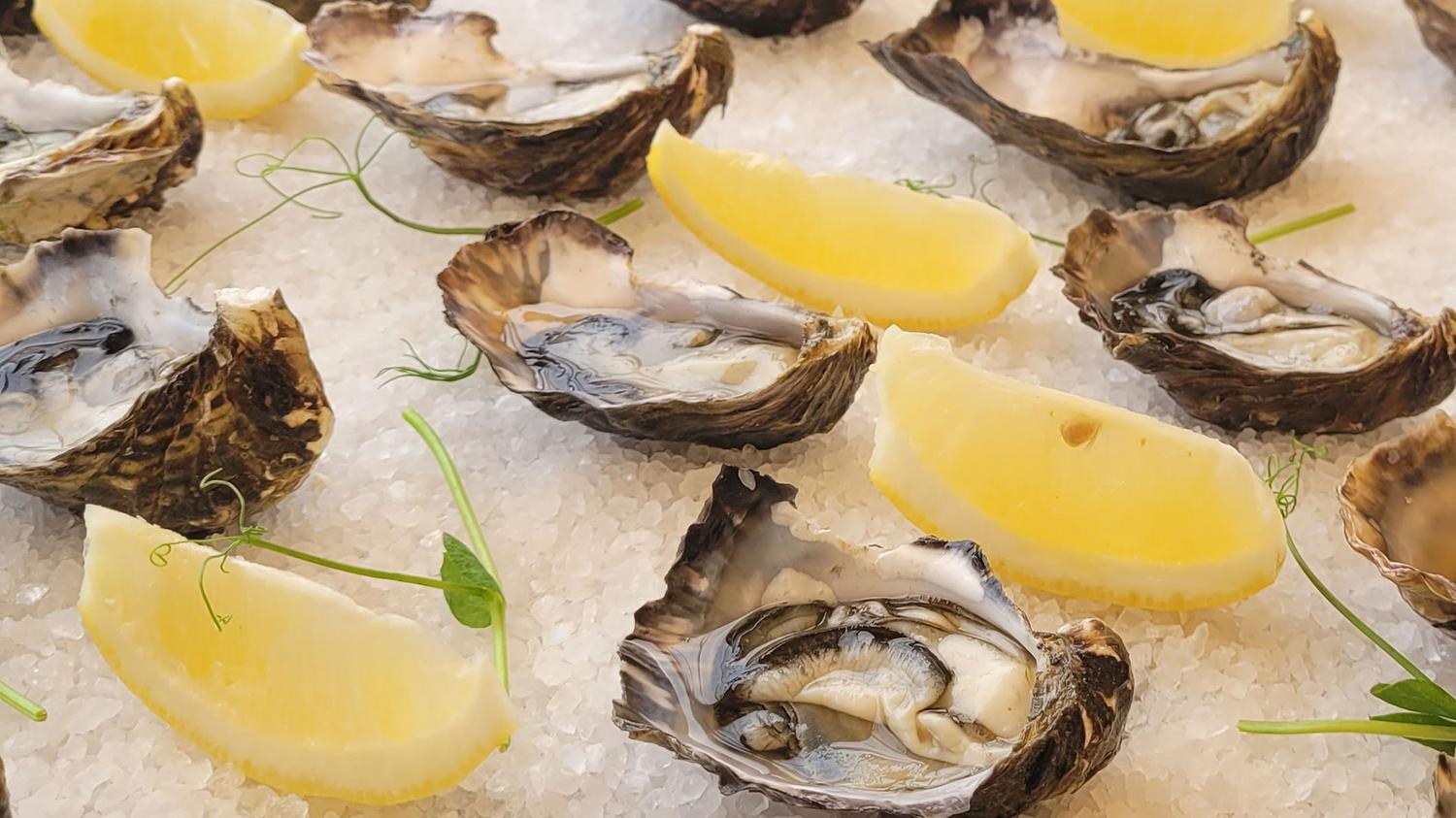 Canape | From The Sea Fresh NZ Oysters