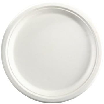 Dinner Plate
