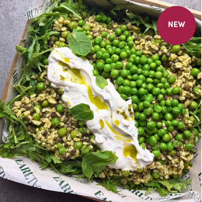Brown Rice, Pea and Lentils Salad