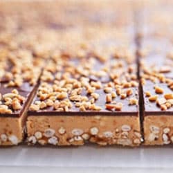 Salted Peanut Butter and Chocolate Slice (Mini)