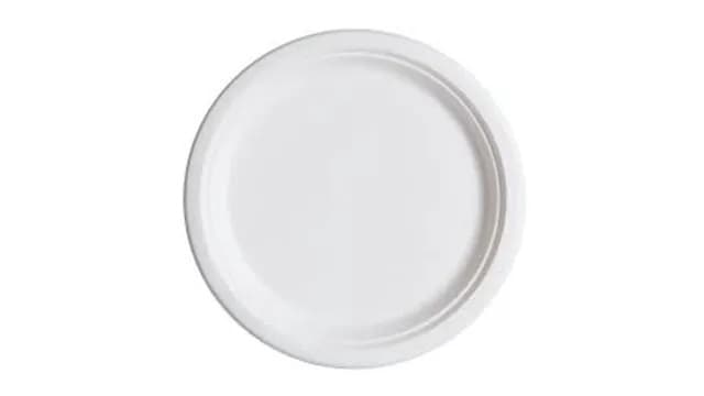 Disposable Plates