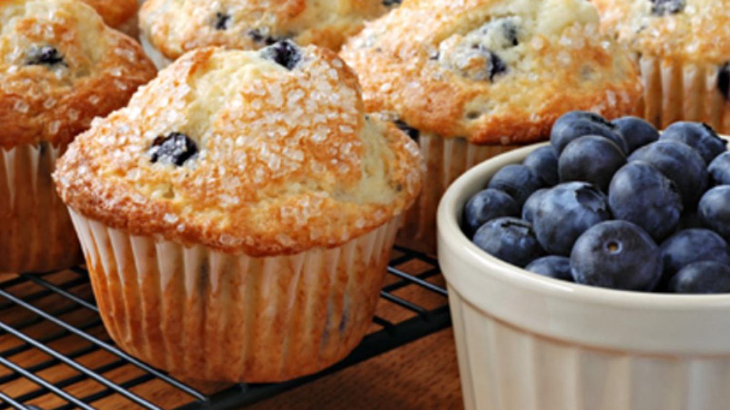 Blueberry Muffin