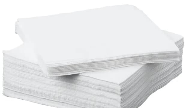 Napkin (Pack of 10)