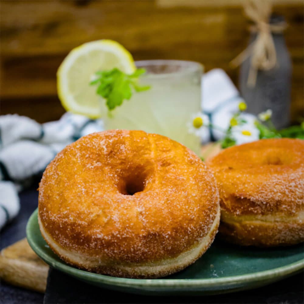 Large Cinnamon Donut