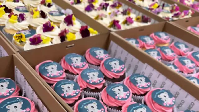 Assorted Branded Cupcakes