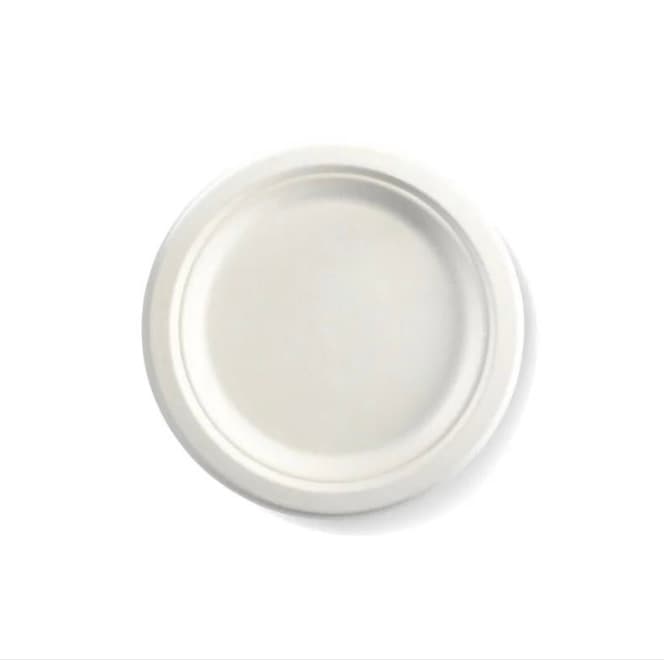 Sugarcane Disposable Plates