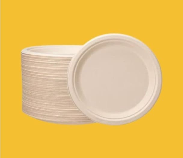 Sugarcane Plate (9 Inch)